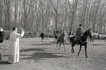 Concurs hípic al parc de la Devesa de Girona