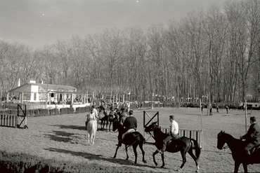 Concurs hípic al parc de la Devesa de Girona