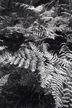 Benedicció i inauguració del Club Tennis Girona a les noves instal·lacions de Palau-Sacosta