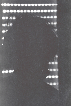 Cap d'una noia a contrallum