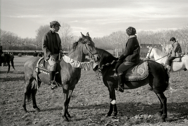 Concurs hípic al parc de la Devesa de Girona