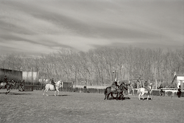 Concurs hípic al parc de la Devesa de Girona