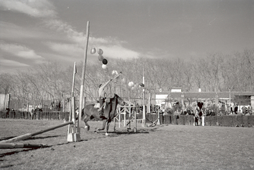 Concurs hípic al parc de la Devesa de Girona