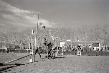 Concurs hípic al parc de la Devesa de Girona