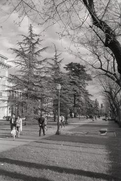 Madrid. Museo del Prado i font de Neptú