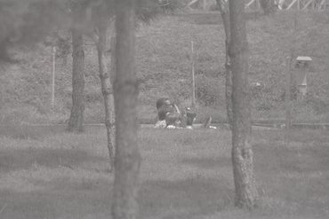 Parque de Atracciones de la ciutat de Madrid