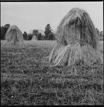 Voltant del santuari de la Salut