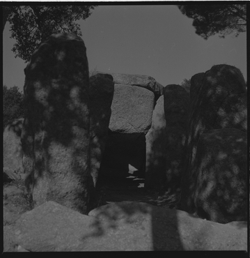 Cova d'en Daina, Romanyà de la Selva