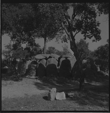 Cova d'en Daina, Romanyà de la Selva