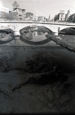 Vessament d'oli a l'Onyar