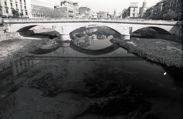 Vessament d'oli a l'Onyar