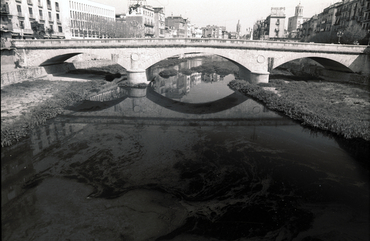 Vessament d'oli a l'Onyar