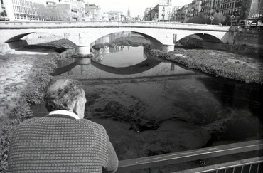 Vessament d'oli a l'Onyar